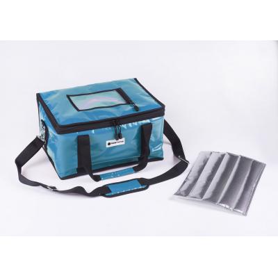 10L cold chain vaccine bag