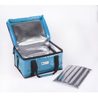 10L cold chain vaccine bag