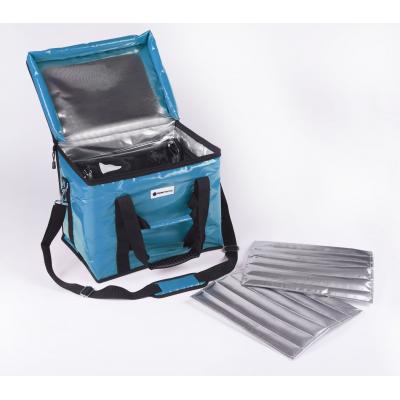 20L cold chain vaccine bag
