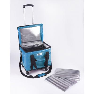 20L 2