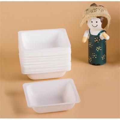 Small Weighing Boat