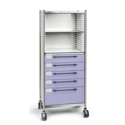 combined storage trolley